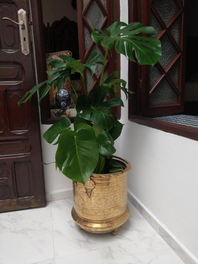 Hotel Riad Al Ârâr à Rabat Extérieur photo